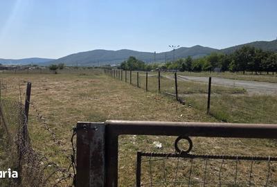 Teren de 1000 mp, în Viișoara