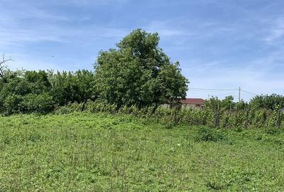 Teren de 1132 mp, în Comana - 2