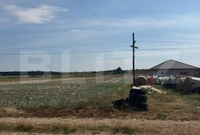 Teren Construcții intravilan de 5100 mp, în Mihai Viteazu