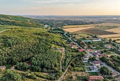 Teren de 1150 mp, în Miniș