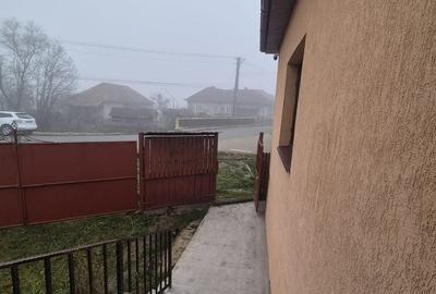 Casă cu 3 camere cu Teren 2800 Mp în Sânmihaiu Almașului - 10