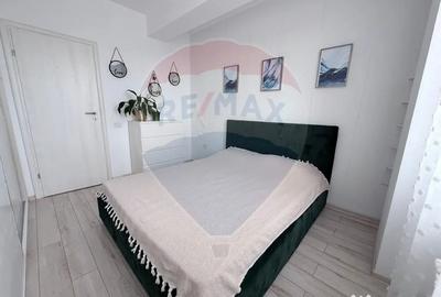 Apartament cu 3 camere decomandat, mobilat în Tineretului - 9