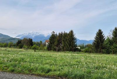 Casă cu 4 camere în Glăjărie - 1