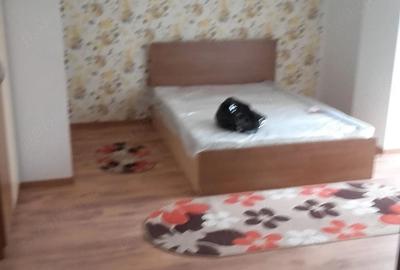 Garsonieră decomandată în Cornitoiu