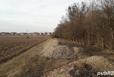 Teren de 1000 mp, în Băile Felix - 1