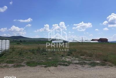 Teren de 413 mp, în Micești