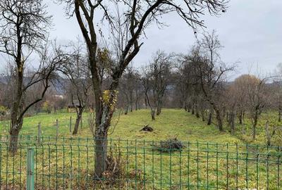 Teren de 1500 mp, în Corbi - 4
