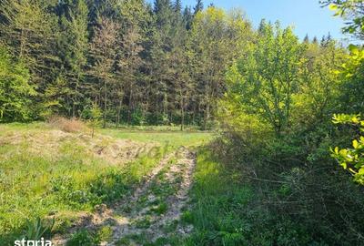 Teren de 3128 mp, în Mărgineni - 3