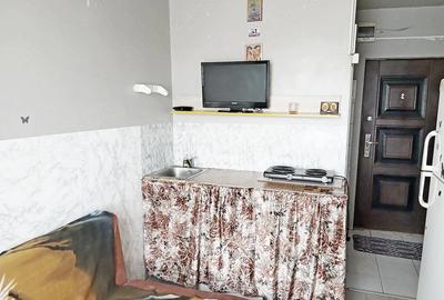 Garsonieră nedecomandată în Dâmbovița - 1