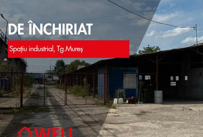 Spațiu industrial, de 3,000 mp, în Mureșeni