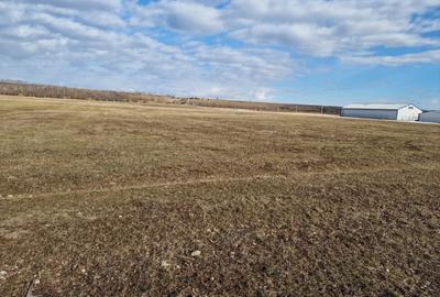 Teren agricol extravilan de 10000 mp, în Est - 2