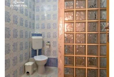 Casă individuală cu 16 camere cu Canalizare în Nemșa - 9