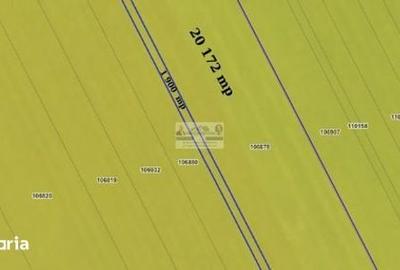 Teren de 75000 mp, în Mazepa 1 - 2