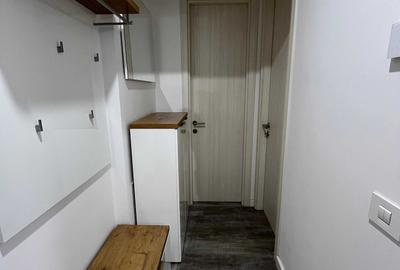 Apartament cu 2 camere decomandat în Herăstrău - 2
