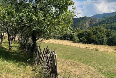 Teren de 6572 mp, în Jieț