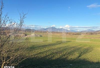 Teren de 1000 mp, în Central