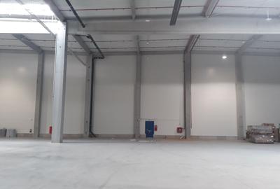 Spațiu industrial, de 7,000 mp, în Sud-Est - 3