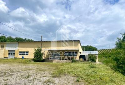 Spațiu industrial, de 1,680 mp, în Prunișor - 2