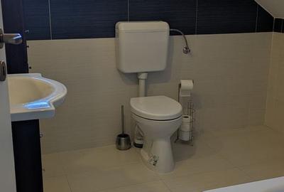 Casă cu 4 camere cu Teren 520 Mp în Vladimirescu - 9
