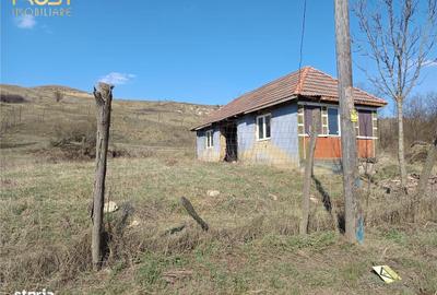 Casă cu 2 camere în Hagău - 3