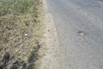 Teren de 3700 mp, în Sadina - 5