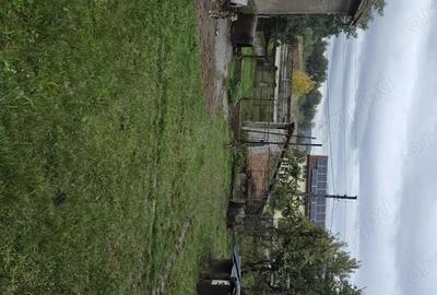 Casă cu 2 camere în Strei - 1