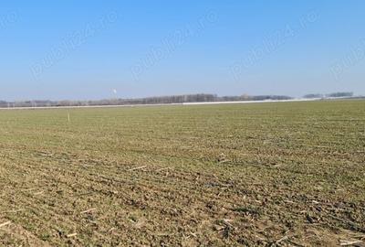 Teren de 941 mp, în 1 Decembrie