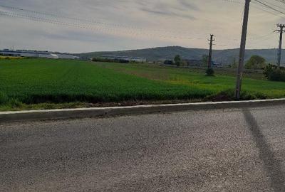 Teren de 5000 mp, în Central - 1