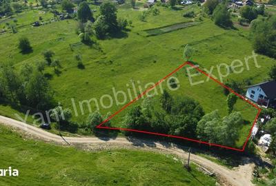 Teren de 2400 mp, în Valea Danului - 3