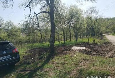 Teren de 2400 mp, în Crișeni - 1
