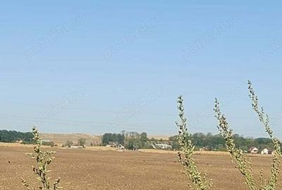 Teren de 8400 mp, în Central - 10
