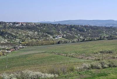 Apartament cu 2 camere în Copou - 1