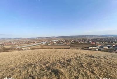 Teren de 4633 mp, în Curteni - 1