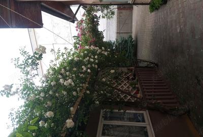 Casă cu Teren 350 Mp în Precista - 6