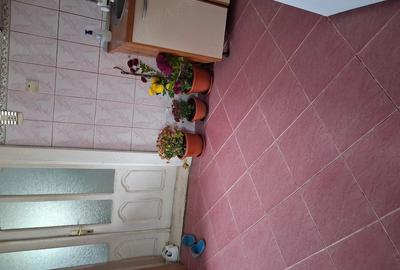 Casă cu 5 camere cu Teren 1300 Mp în Pucheni