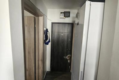 Apartament cu 2 camere semidecomandat în Drumul Taberei - 9