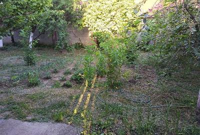 Casă cu 4 camere cu Teren 2741 Mp în Jebel - 5