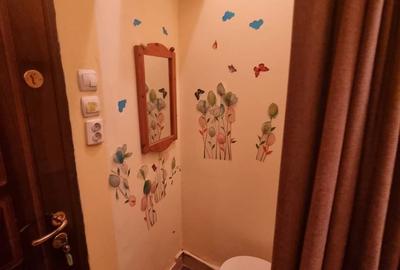 Apartament cu 3 camere semidecomandat în Teiul Doamnei - 10