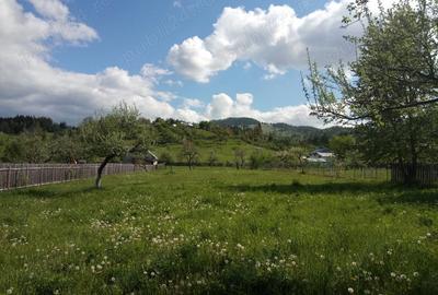 Teren de 3185 mp, în Nereju