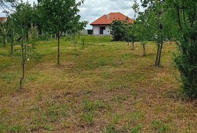 Casă în Berini - 6