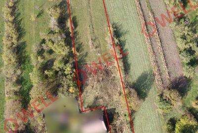 Teren agricol intravilan de 1300 mp, în Dalnic - 3