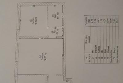 Apartament cu 2 camere semidecomandat în Bălcescu - 3
