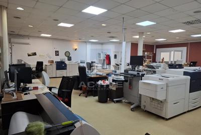 Spațiu industrial, de 360 mp, în Baciu - 5