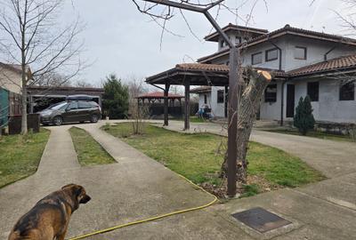 Casă individuală cu 4 camere cu Teren 1460 Mp în Brănești - 7