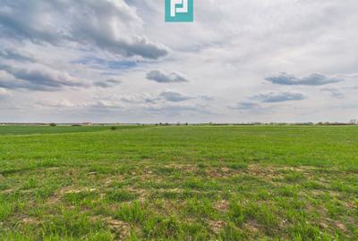 Teren agricol extravilan de 6150 mp, în Giroc - 1
