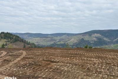 Teren de 1819 mp, în Horea - 1
