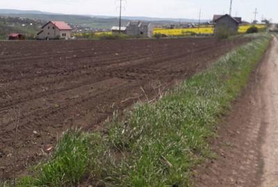 Teren de 555 mp, în Miroslava - 2