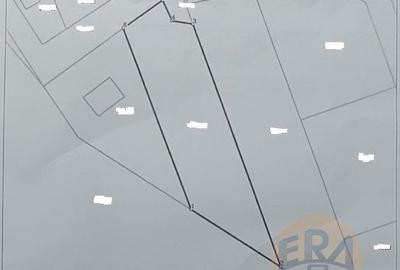 Teren agricol intravilan de 1198 mp, în Tărian - 1