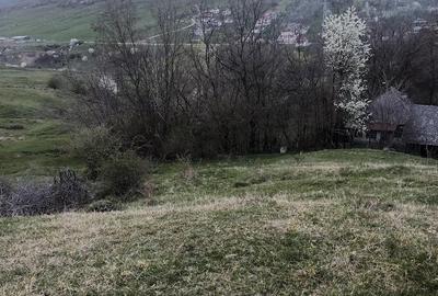 Teren de 2600 mp, în Izvoarele - 8