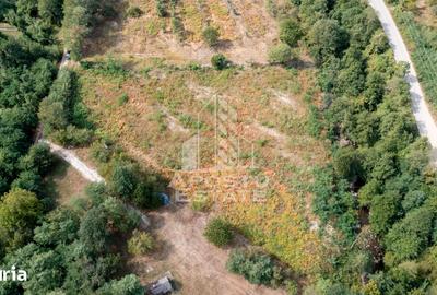 Teren de 5000 mp, în Turnu Ruieni